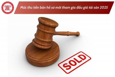 Thu, chi, quản lý, sử dụng tiền bán hồ sơ mời tham gia đấu giá